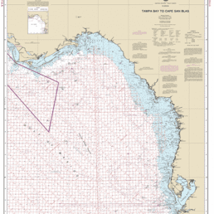 1114A - Tampa Bay to Cape San Blas (Oil and Gas Leasing Areas)