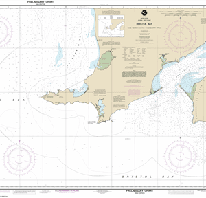 16305 - Bristol Bay-Cape Newenham and Hagemeister