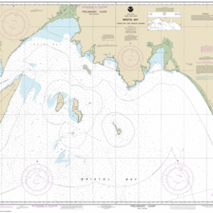 16315 - Bristol Bay-Togiak Bay and Walrus Islands
