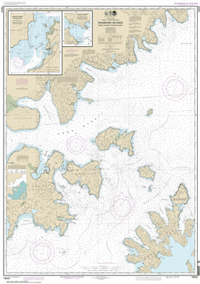 16553 - Shumagin Islands-Nagai Island to Unga Island; Delarof Harbor; Popof Strait, northern part