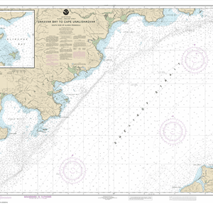 16575 - Dakavak Bay to Cape Unalishagvak; Alinchak Bay