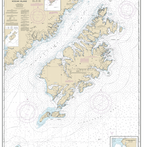 16580 - Kodiak Island;Southwest Anchorage, Chirikof Island