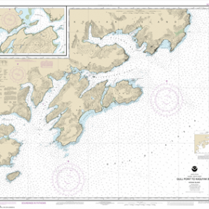 16592 - Kodiak Island Gull Point to Kaguyak Bay; Sitkalidak Passage