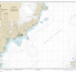 16608 - Shelikof Strait-Cape Douglas to Cape Nuksh