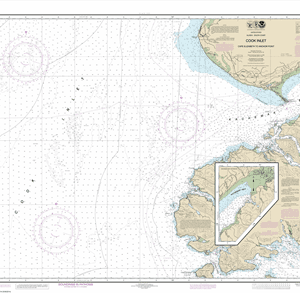 16647 - Cook Inlet-Cape Elizabeth to Anchor Point