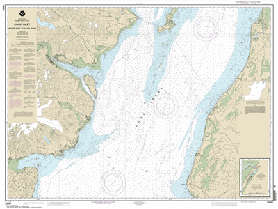 16661 - Cook Inlet-Anchor Point to Kalgin Island; Ninilchik Harbor
