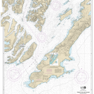 16701 - Prince William Sound-western entrance