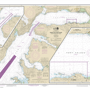 16707 - Prince William Sound-Valdez Arm and Port Valdez; Valdez Narrows; Valdez and Valdez Marine Terminal