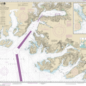 16708 - Prince William Sound-Port Fidalgo and Valdez Arm; Tatitlek Narrows