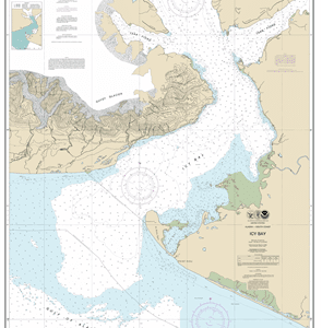 16741 - Icy Bay
